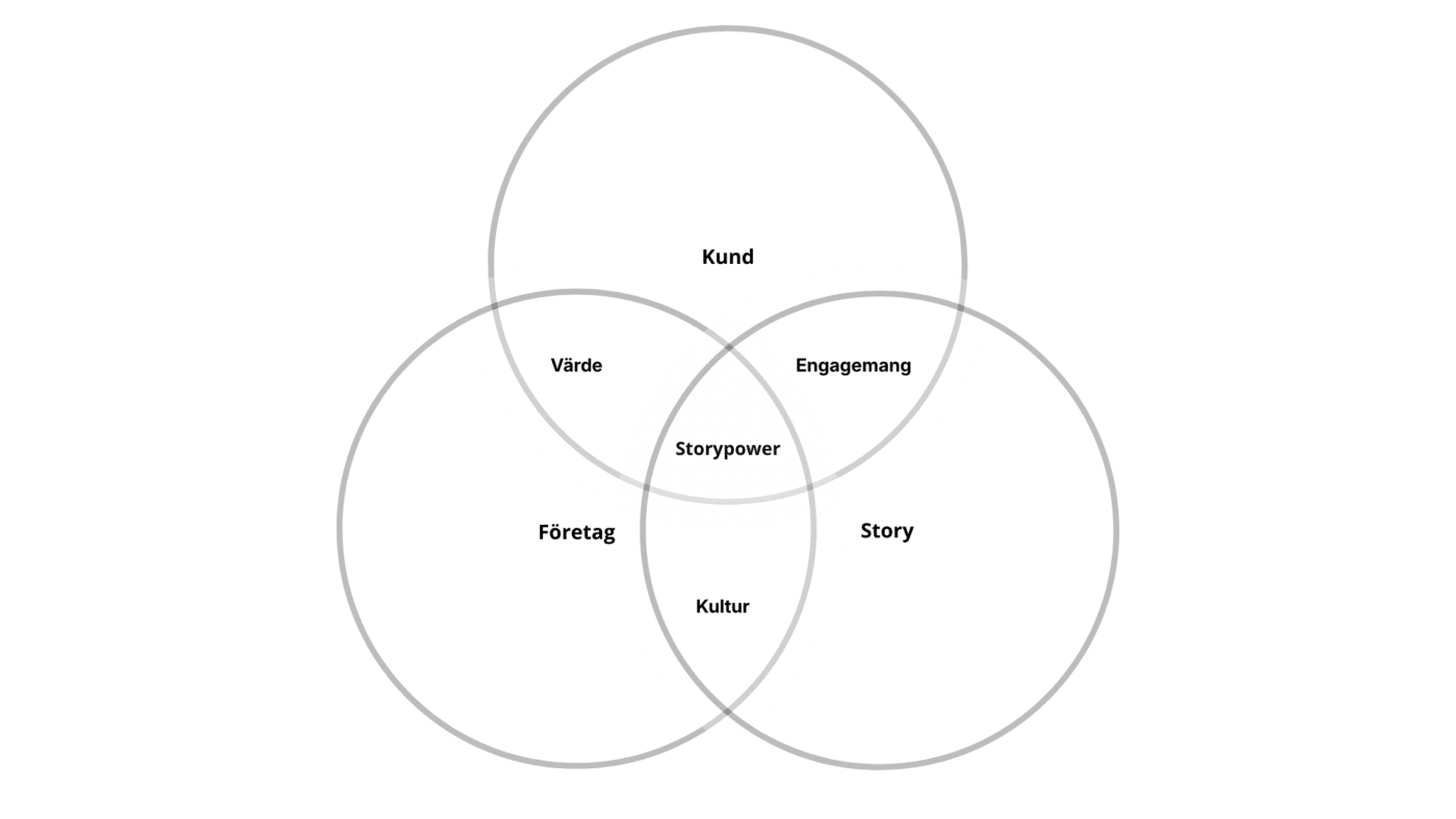 The alignment model, a.k.a Storypower Framework.